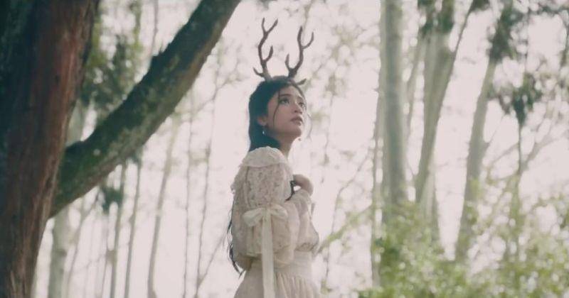 Youtube.com/daunjatuhmusic